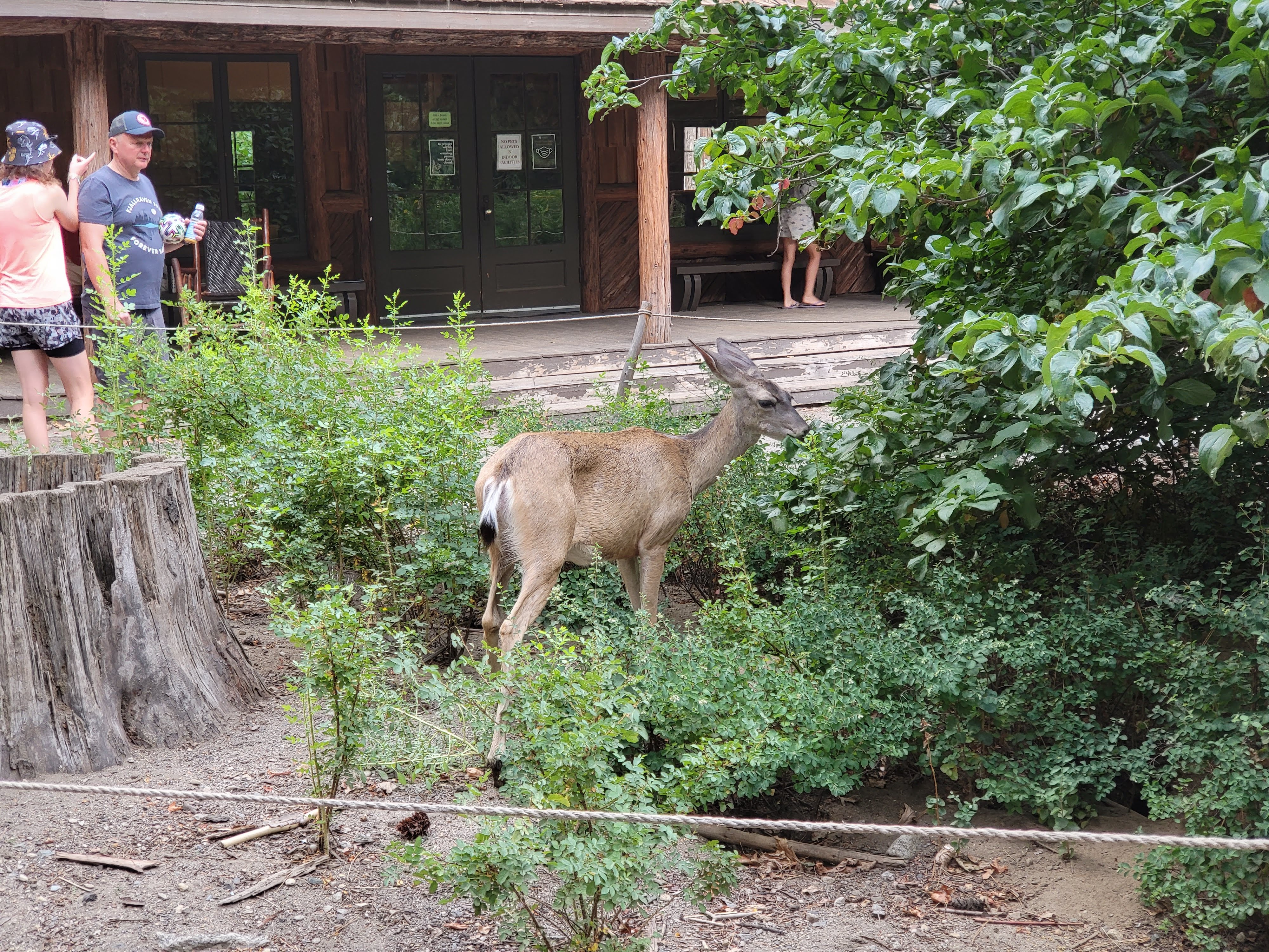 요세미티 국립공원 후기