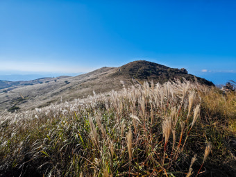 황매산 억새축제