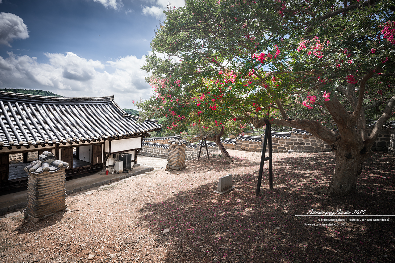 #논산 #종학당 #파평윤씨 #배롱꽃