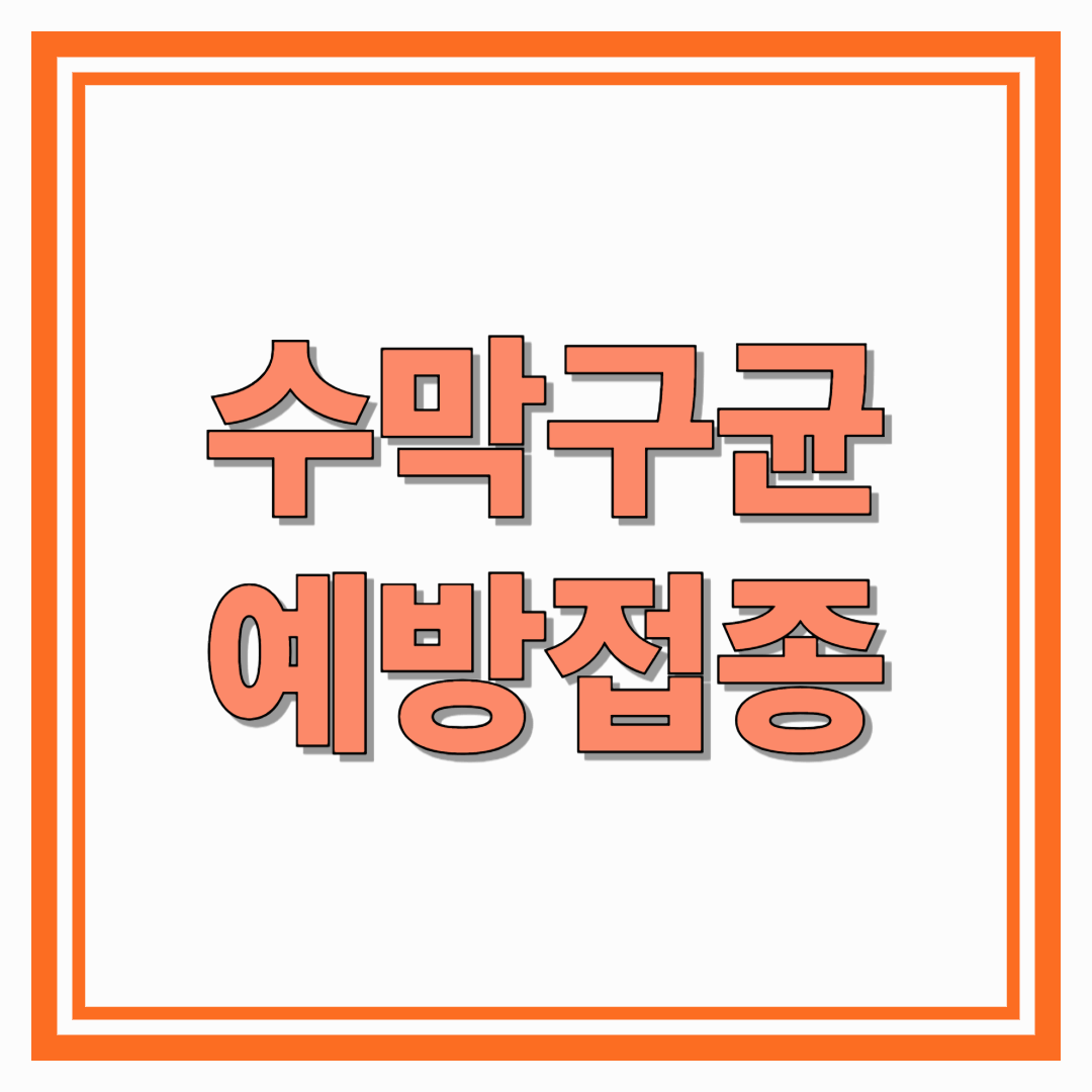수막구균예방접종 생명을 지키는 선택, 꼭 필요한 이유