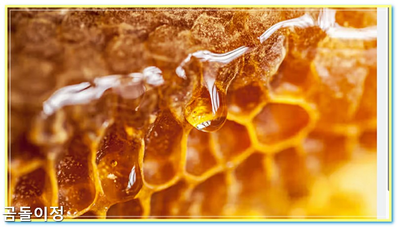 꿀 효능 칼로리 비교, 당뇨 환자가 알아야 할 핵심