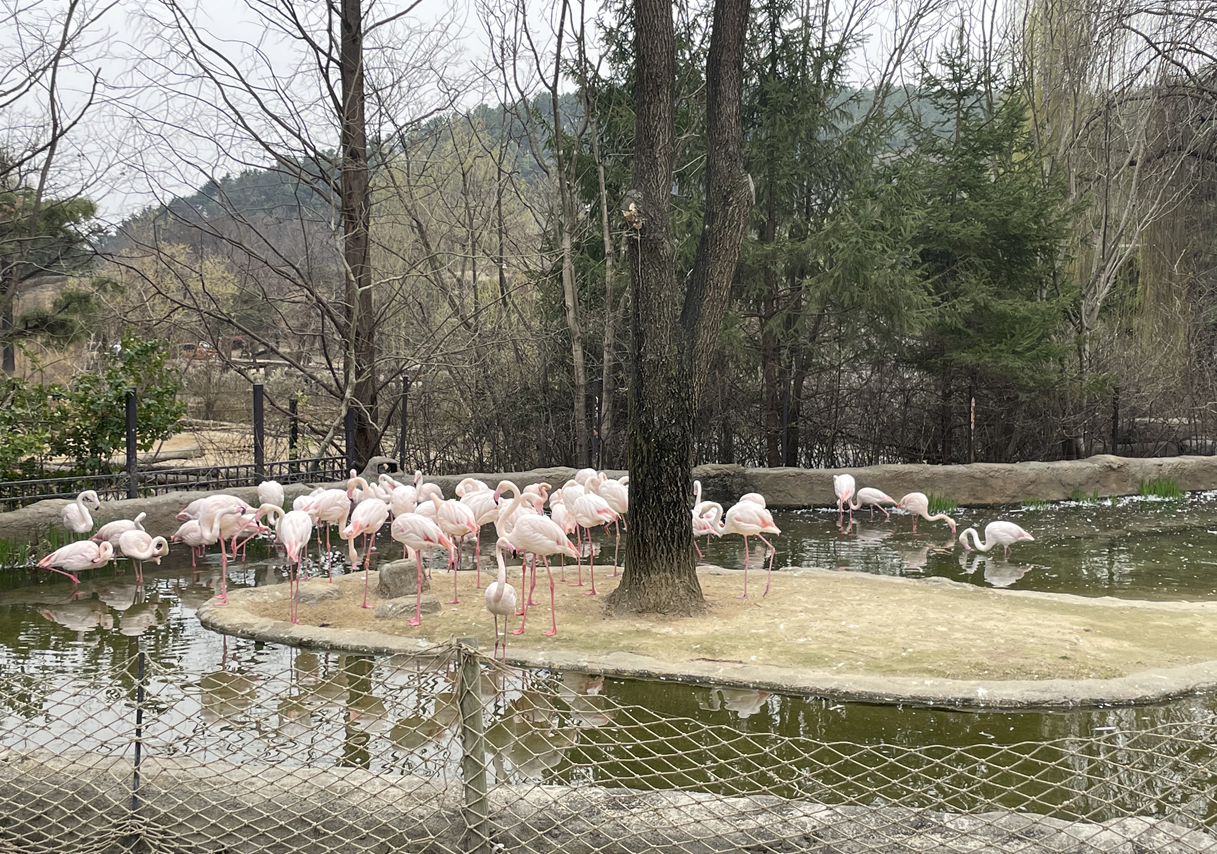 에버랜드 로스트밸리