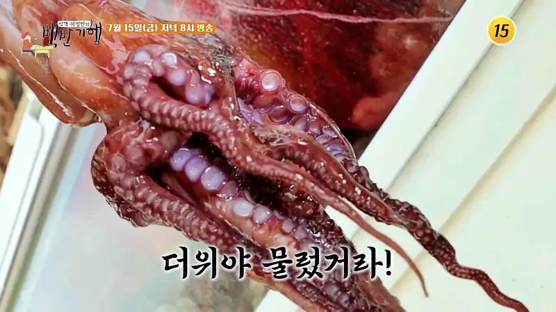 식객 허영만 백반기행 160회 김지민 편 다찌 느낌의 문어 숙회, 골뱅이무침, 두부 튀김, 해물 수제비 동해 삼척 7번국도 노포 맛집 소개