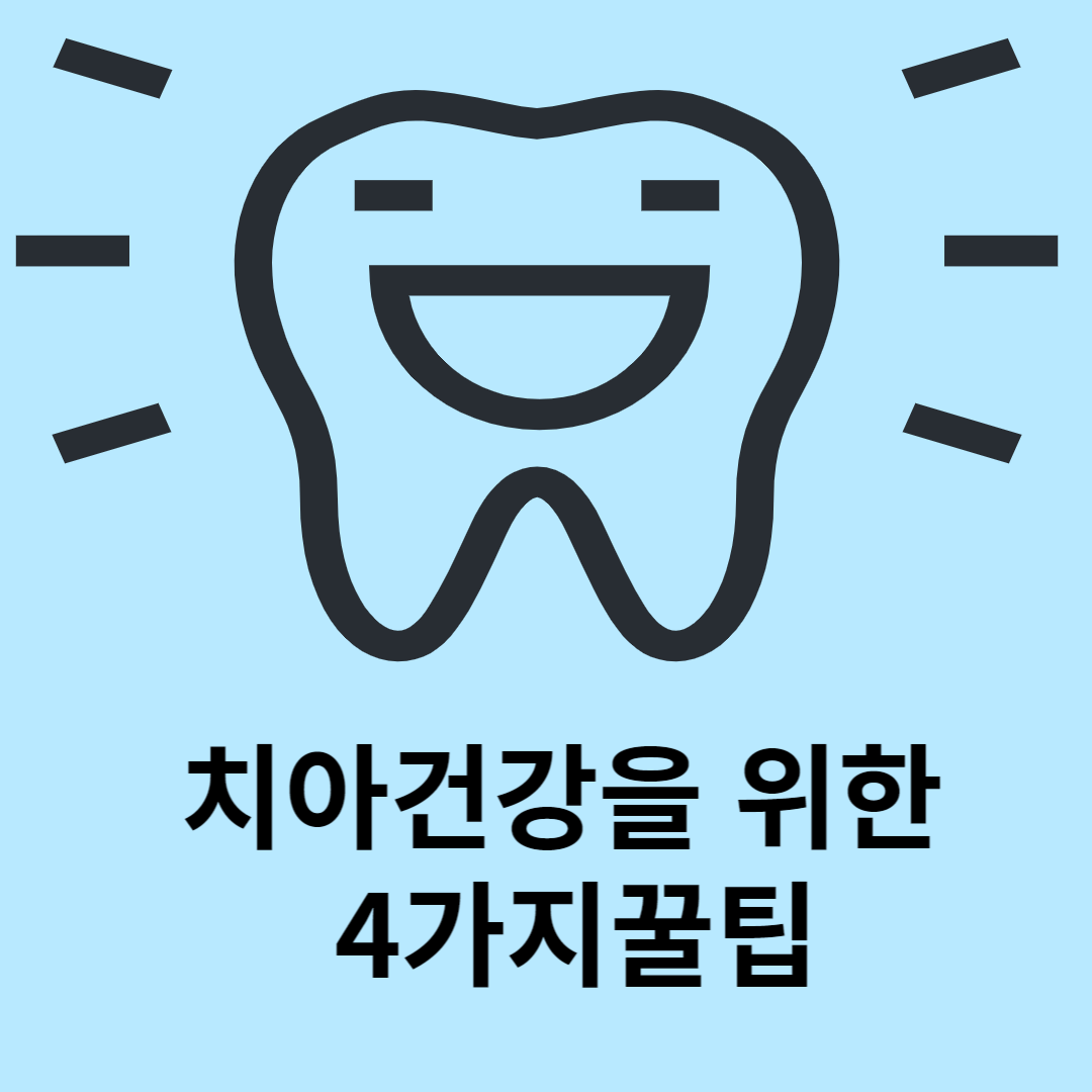 치아건강을위한꿀팁