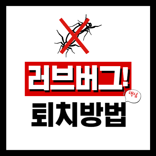 러브버그 퇴치방법 총정리 가이드