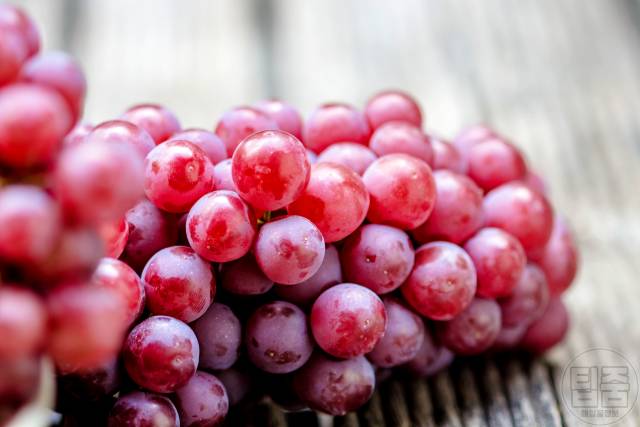 신장에 좋은 음식,신장 기능 저하에 좋은 과일 적포도 효능