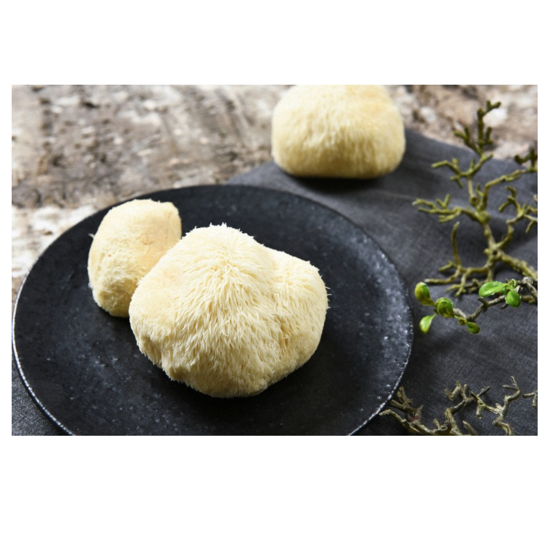 차가버섯과 관련된 사진입니다.