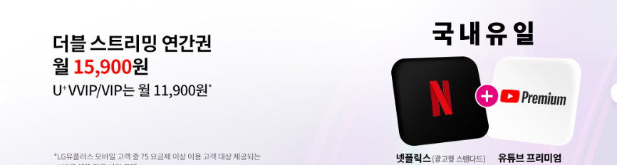 더블 스트리밍 연간권