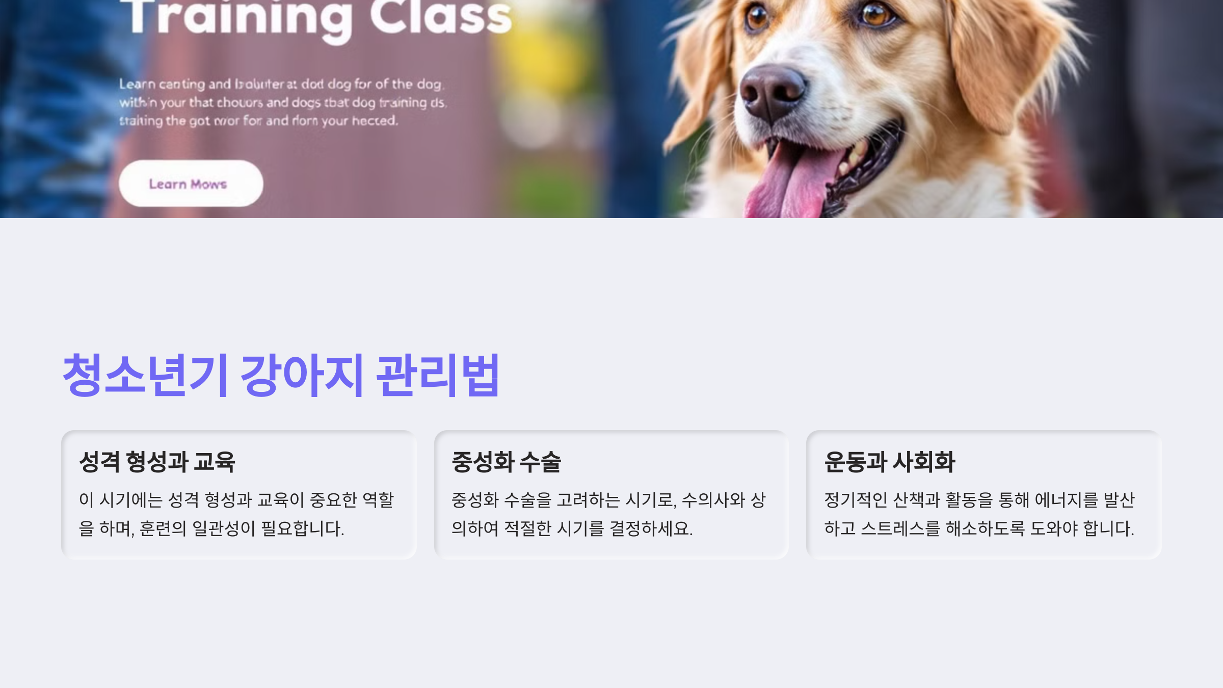 청소년기 강아지 관리법