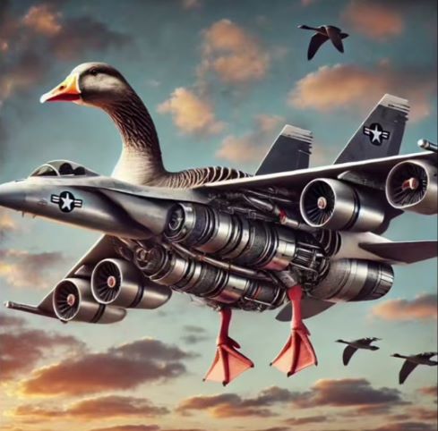 붐붐비니 구시니