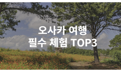 필수체험 top3 썸네일