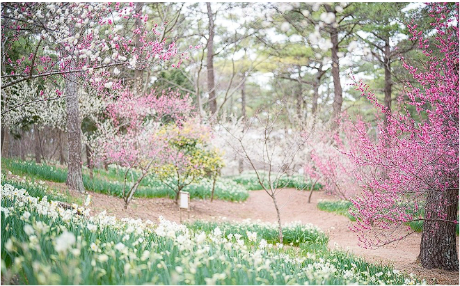 제주도 축제 일정