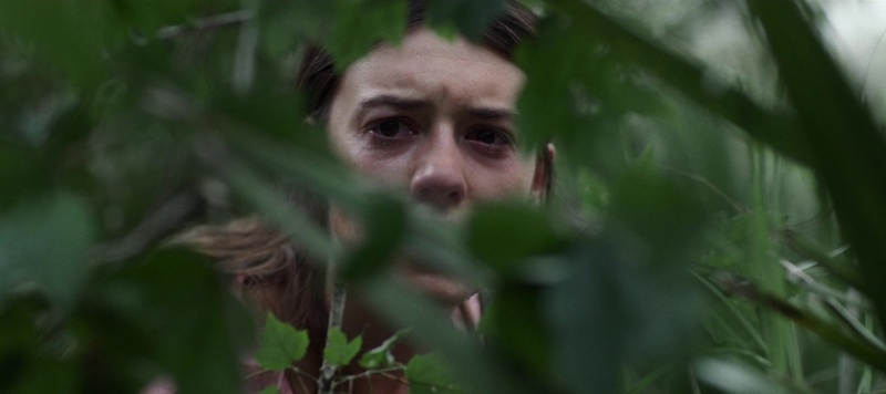 가재가 노래하는 곳 스틸컷 3