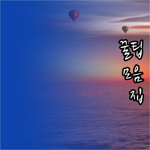 HTML 문서 SEO를 위한 메타 태..