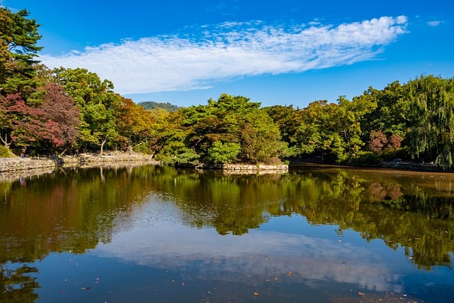 4대궁 국악 공연24