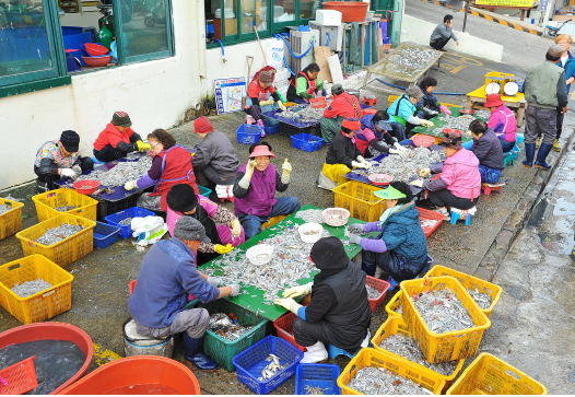 경기 시흥 오이도 갯벌체험 정보 안내