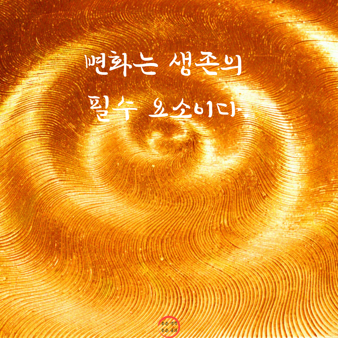 짧고 좋은 글귀 인생 명언 모음 이미지