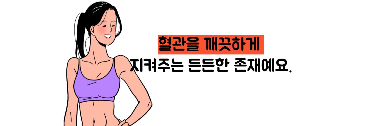 hdl콜레스테롤 정상수치