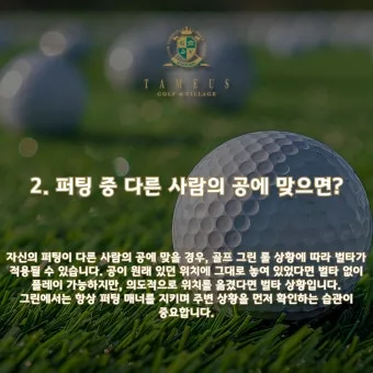 골프 그린리딩 라인 읽는 법 경사 속도 낙차 체크_15