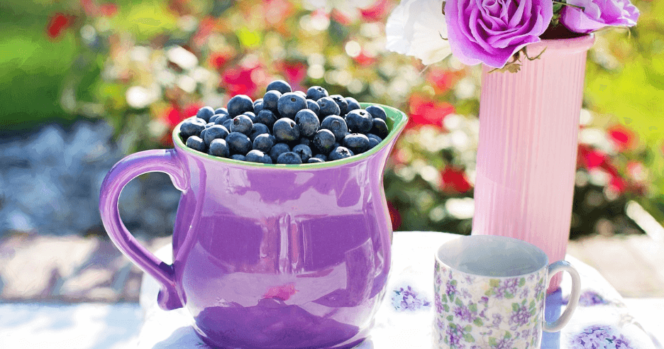 눈에 좋은 과일 블루베리