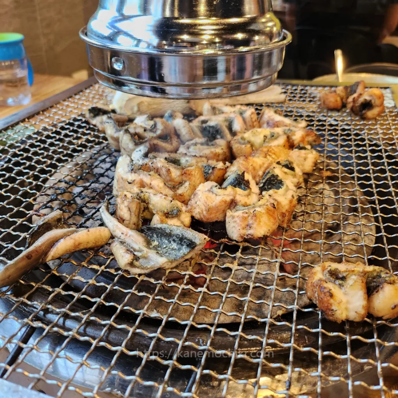 통보장어마을-풍천장어-특대크기