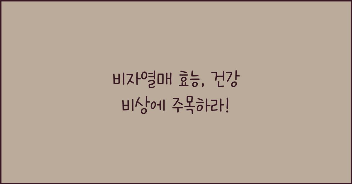 비자열매 효능