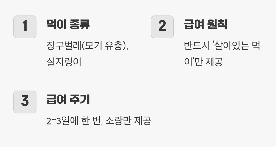 사냥꾼의 식단&amp;#44; 먹이 주기