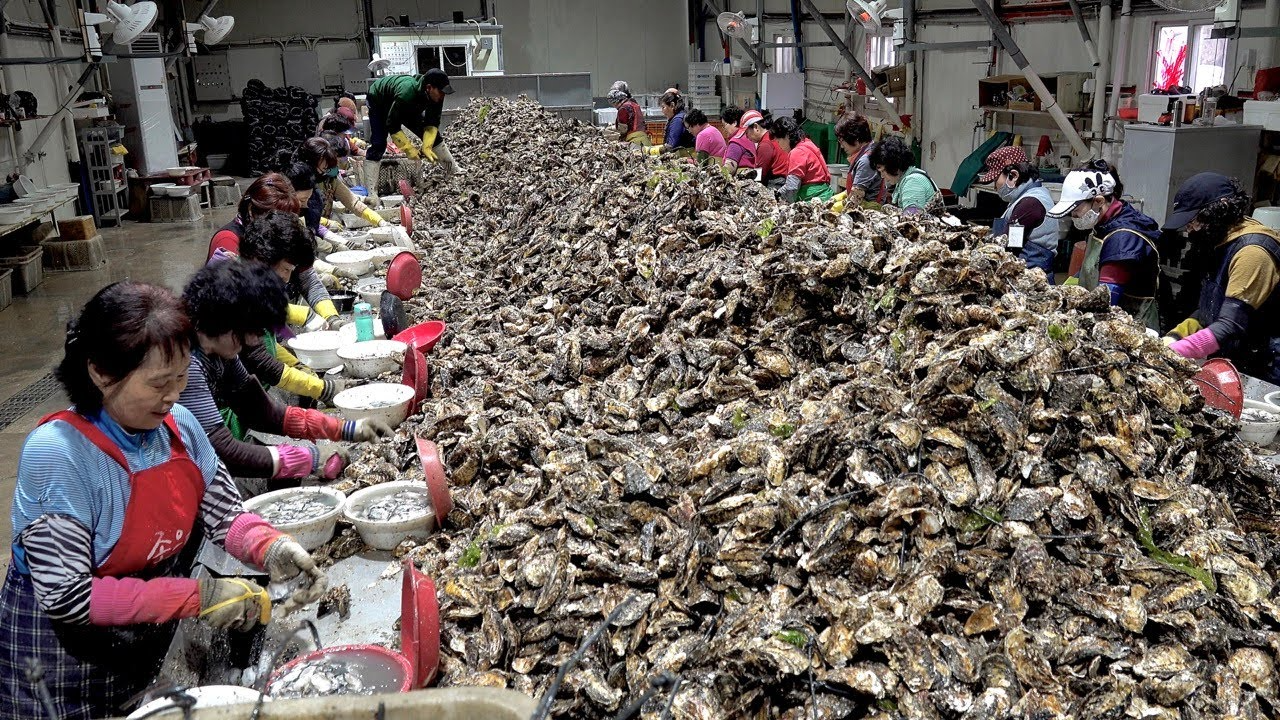 2025년 9월&middot;10월 제철 해산물 가이드