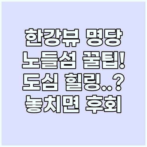 한강 뷰 카페 명당 노들섬 도심 속 ..