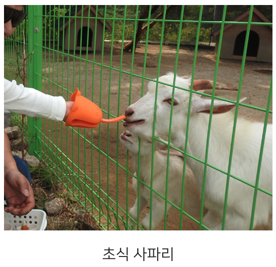 단체 프로그램 안내