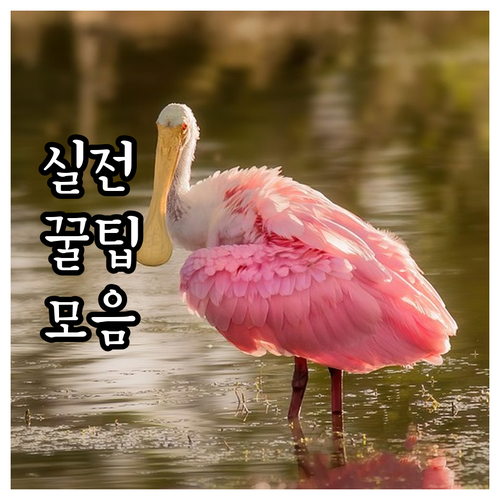 영도구 소규모 음식점 2025 무료 ..