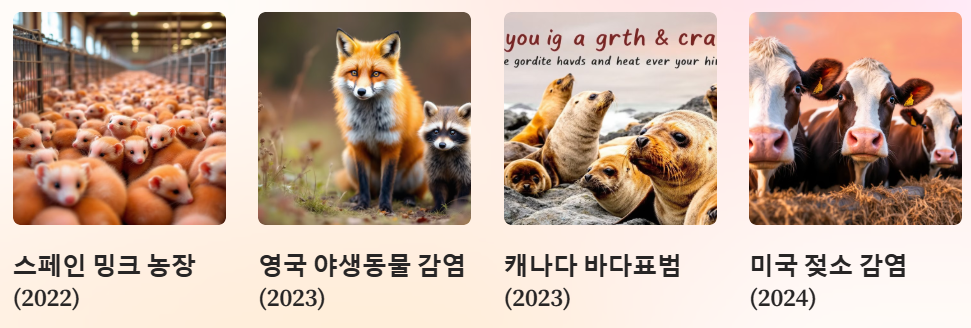 감염사례