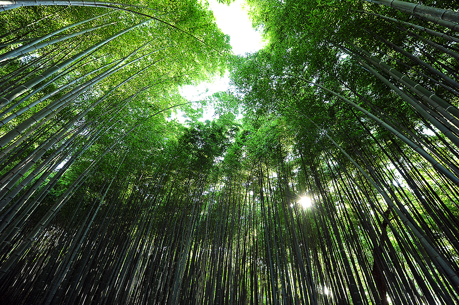 익산 가볼만한곳 베스트10