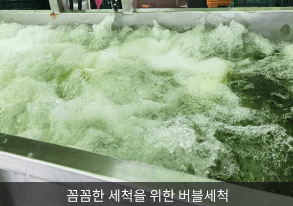 해남 절임배추 20kg 사전예약 가격비교