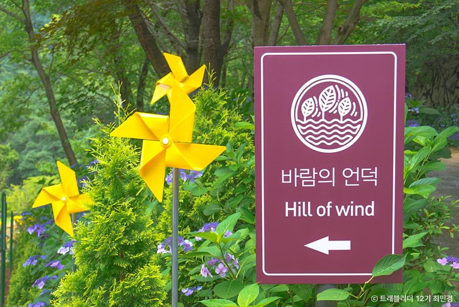수국명소