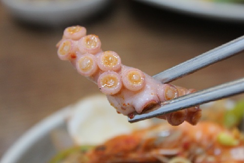 낙지-데치는시간