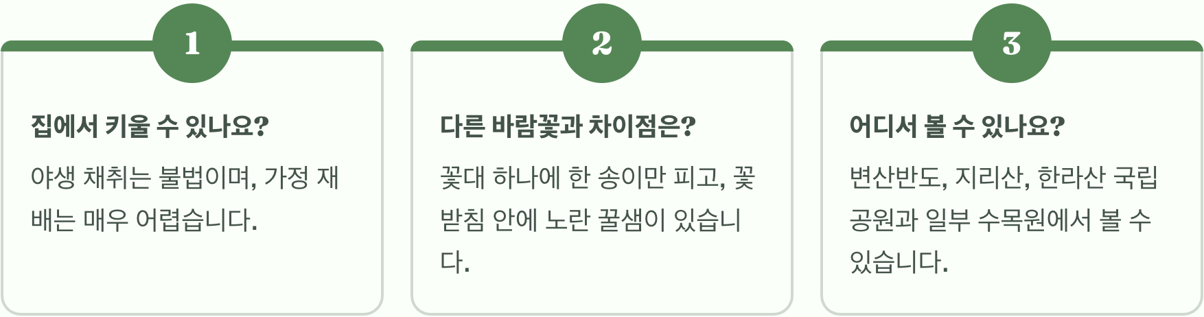 세계 유일 한국에만 자라는 꽃, 변산바람꽃의 모든 것