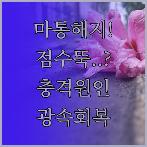 마이너스통장 해지 후 신용점수 하락 ..