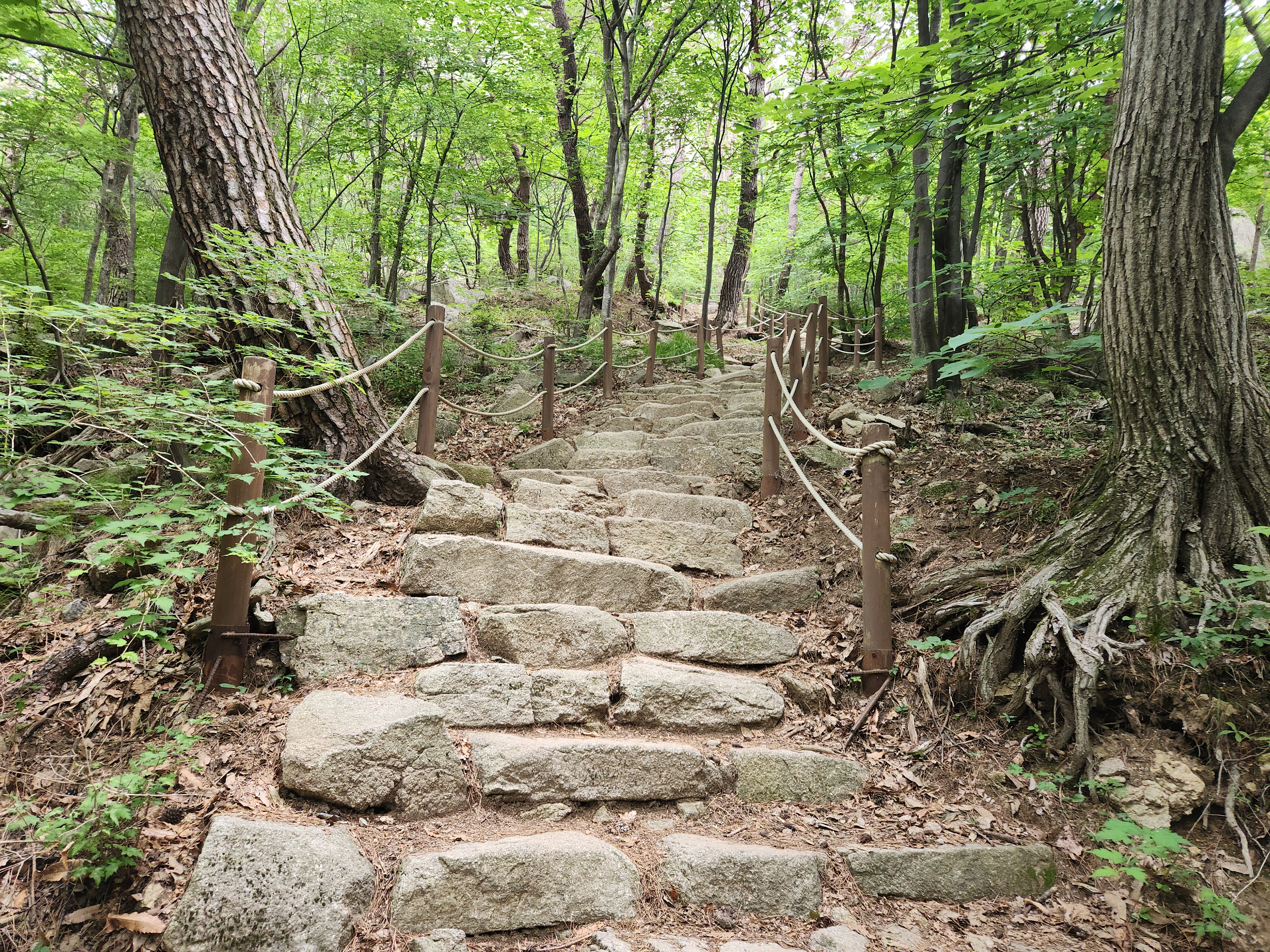 팔공산 수태골 등산 (27)