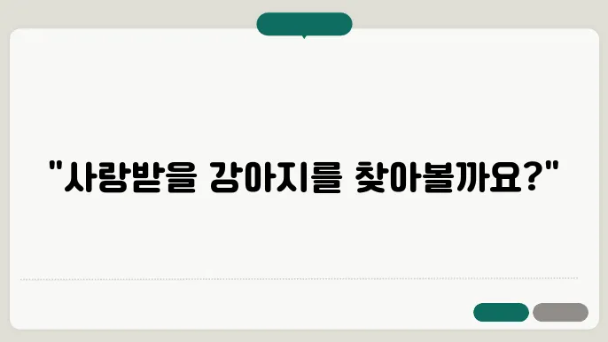 원주강아지보호소 컴투펫위탁보호센터