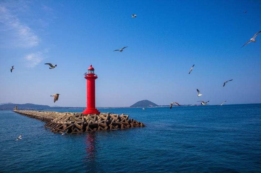 제주도 해변 사진