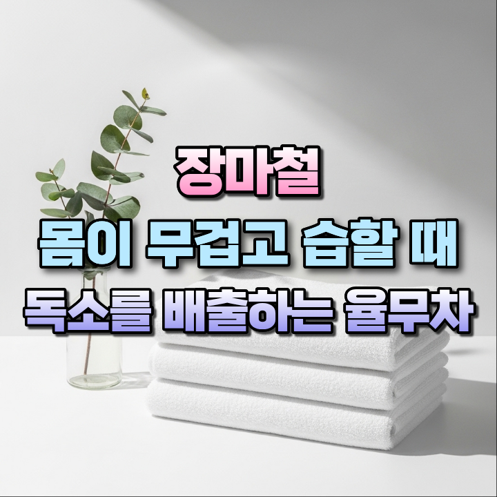 장마철몸이무겁고습할때독소를배출하는율무차