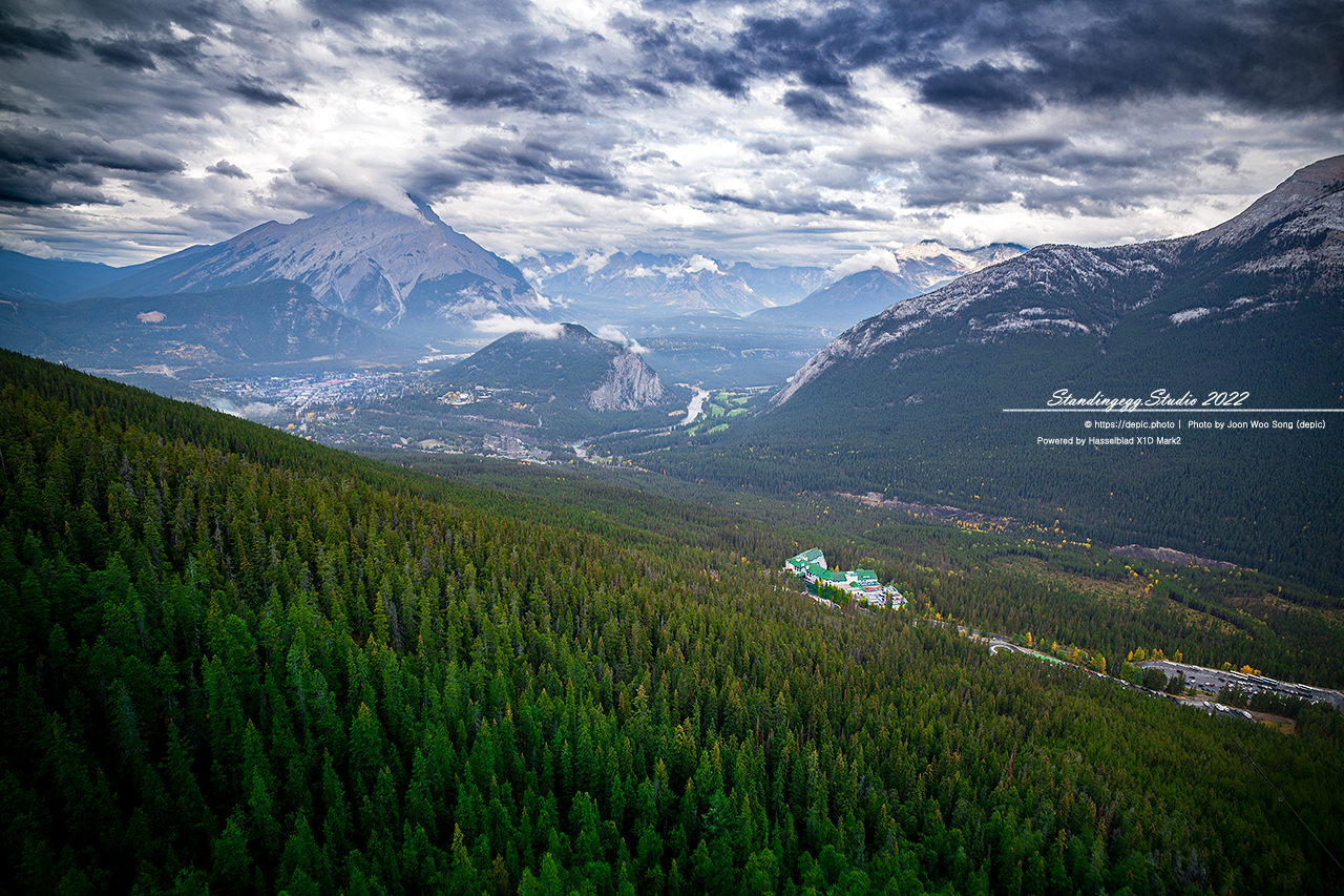 #캐나다 #로키 #산맥 #숲 #캐나다여행