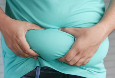 체지방률 정상범위