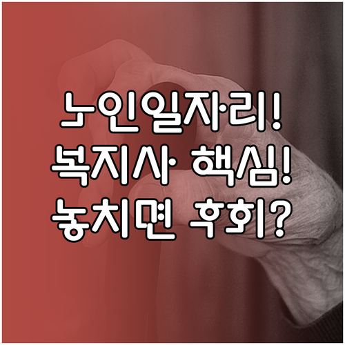 노인일자리 현장 전문가 의정부 시니어..