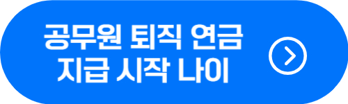 공무원 연금 지급 개시 연령 및 직종별 정년 비교