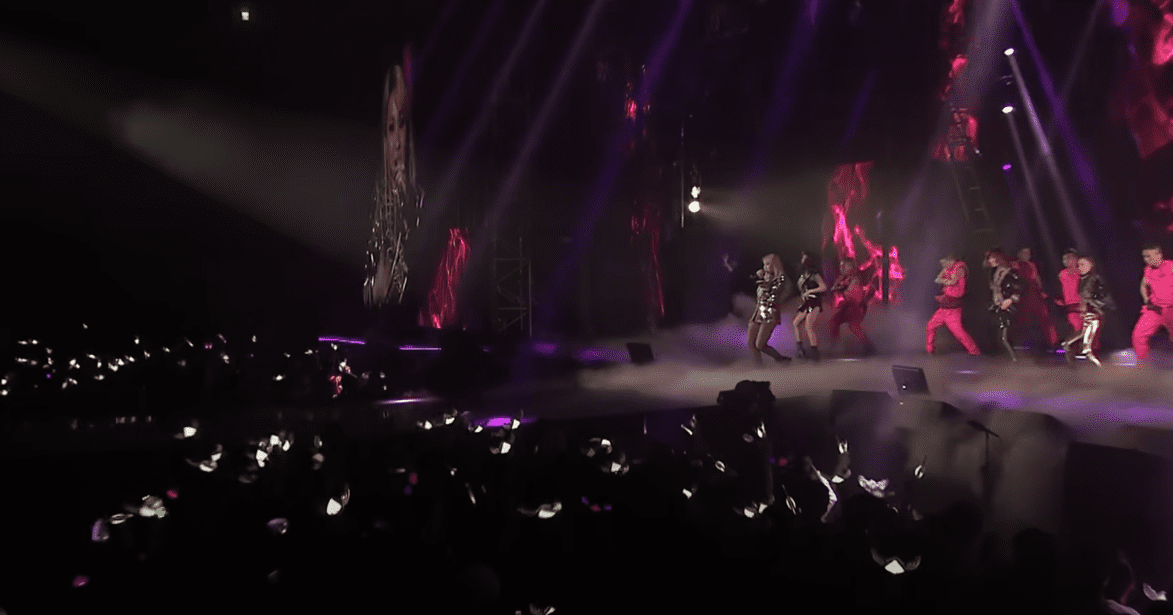 2ne1 공연 중 관람객 화면