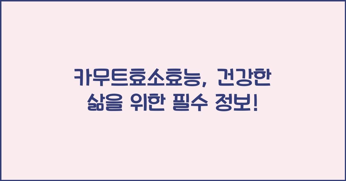 카무트효소효능