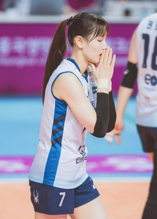 여자배구 안혜진 