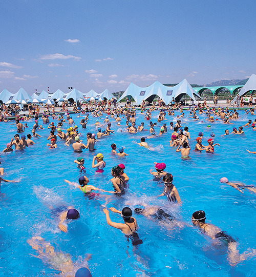 화성 뱃놀이 축제 완벽 가이드